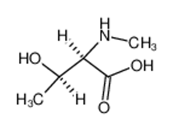 Picture of (2R,3R)-3-hydroxy-2-(methylamino)butanoic acid