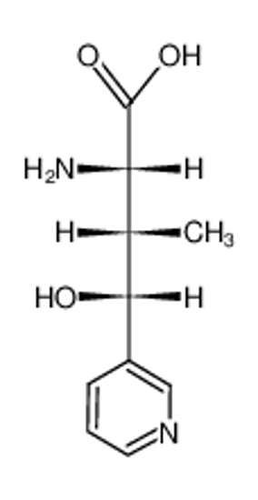 Picture of (2S,3S,4R)-2-amino-4-hydroxy-3-methyl-4-(3-pyridyl)butanoic acid