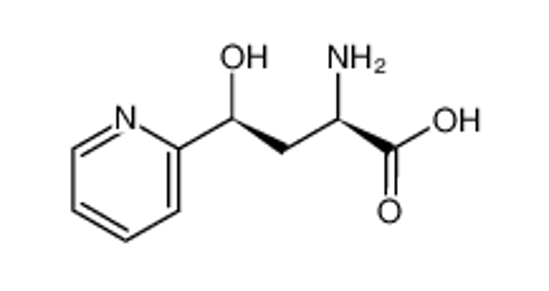 Picture of (2R,4S)-2-Amino-4-hydroxy-4-pyridin-2-yl-butyric acid