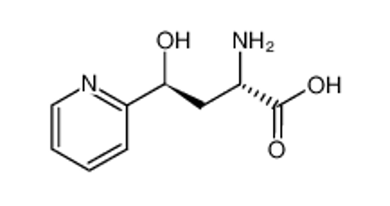 Изображение (2S,4S)-2-Amino-4-hydroxy-4-pyridin-2-yl-butyric acid