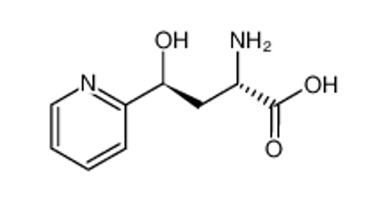 Picture of (2S,4S)-2-Amino-4-hydroxy-4-pyridin-2-yl-butyric acid