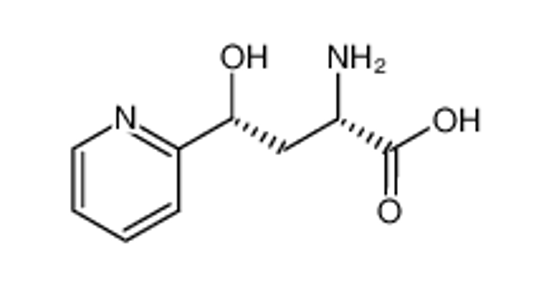 Picture of (2S,4R)-2-amino-4-hydroxy-4-(2-pyridyl)butanoic acid