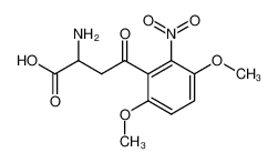 Picture of 2-amino-4-(3,6-dimethoxy-2-nitro-phenyl)-4-oxo-butyric acid