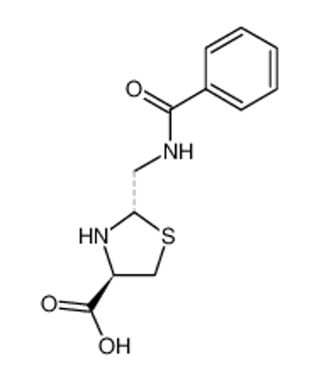 Picture of (2Ξ,4R)-2-(benzoylamino-methyl)-thiazolidine-4-carboxylic acid
