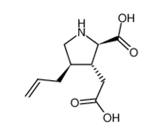 Picture of (+-)-(4t-allyl-2t-carboxy-pyrrolidin-3r-yl)-acetic acid