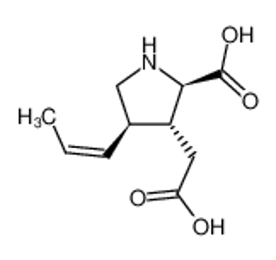 Picture of (+-)-(2t-carboxy-4t-ξ-propenyl-pyrrolidin-3r-yl)-acetic acid