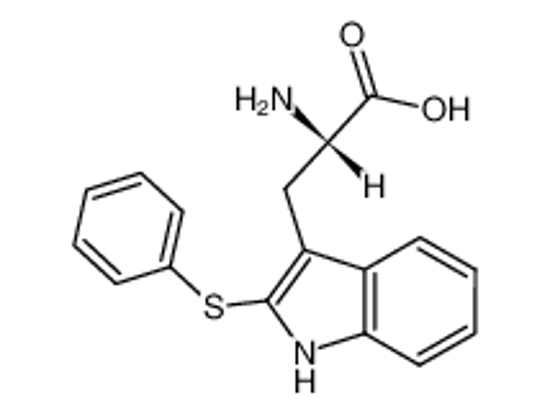 Picture of 2-phenylthiotryptophan