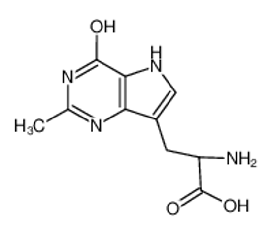 Imagem de 2-Amino-3-(4-hydroxy-2-methyl-5H-pyrrolo[3,2-d]pyrimidin-7-yl)-propionic acid
