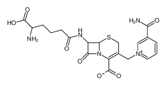 Picture of Cephalosporin C(A)