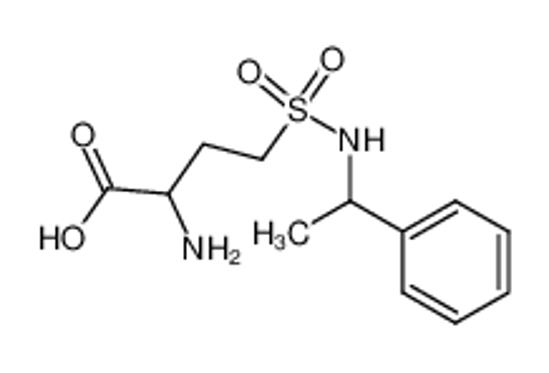 Picture of (+-)-2-Amino-4-<N-(α-methyl-benzyl)-sulfamoyl>-buttersaeure