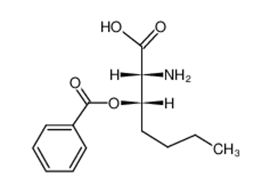 Picture of (+-)-threo-2-amino-3-benzoyloxy-heptanoic acid