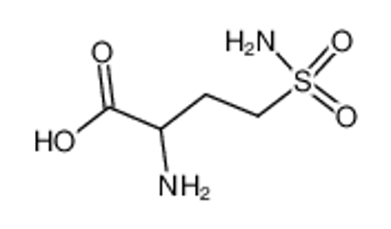 Изображение 2-amino-4-sulfamoyl-butyric acid