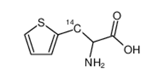 Picture of 3-14C-2-Amino-3-thien-2-yl-propionsaeure