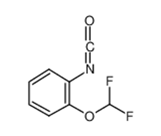 Picture of 1-(difluoromethoxy)-2-isocyanatobenzene