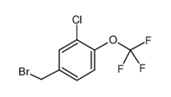 Imagem de 4-(bromomethyl)-2-chloro-1-(trifluoromethoxy)benzene