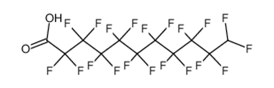 Picture of 11H-Perfluoroundecanoic Acid