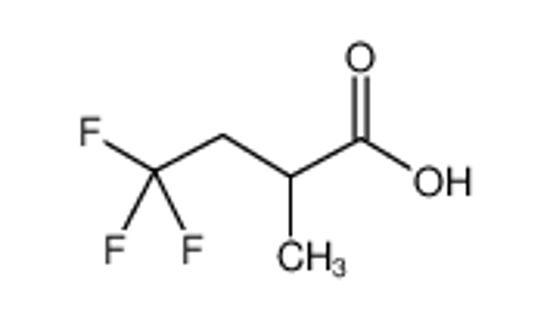 Picture of 2-Methyl-4,4,4-trifluorobutyric acid