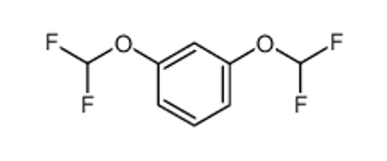 Picture of 1,3-BIS(DIFLUOROMETHOXY)BENZENE
