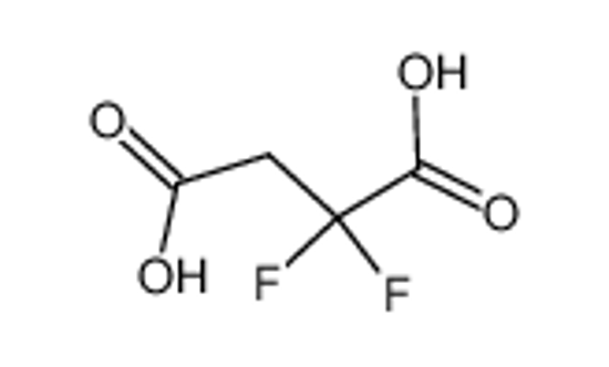 Изображение 2,2-Difluorosuccinic acid