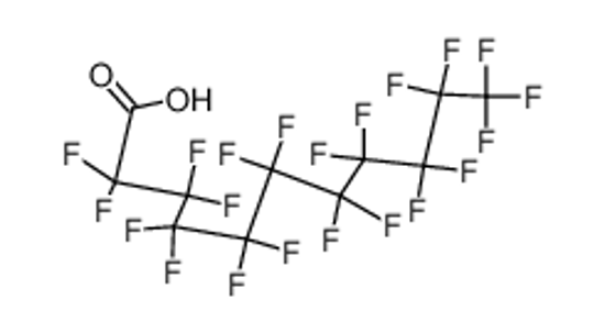Picture of PERFLUOROUNDECANOIC ACID