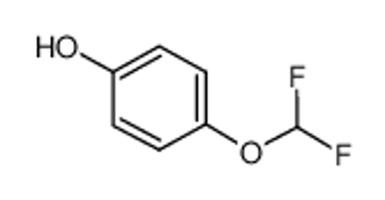 Изображение 4-(Difluoromethoxy)Phenol
