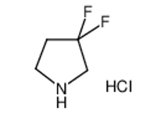 Picture of 3,3-Difluoropyrrolidine Hydrochloride