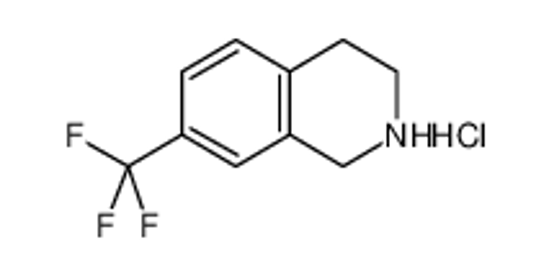 Picture of 7-(Trifluoromethyl)-1,2,3,4-tetrahydroisoquinoline hydrochloride