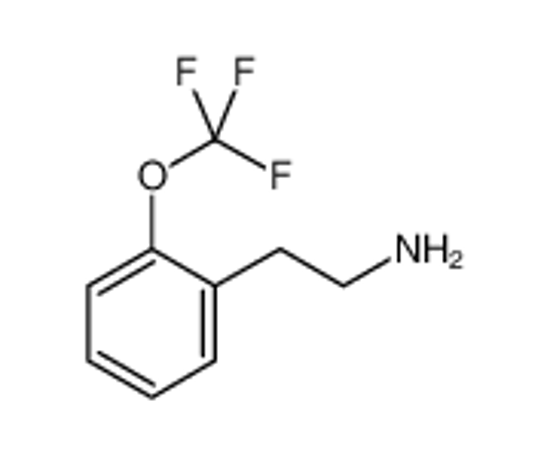 Picture of 2-[2-(trifluoromethoxy)phenyl]ethanamine