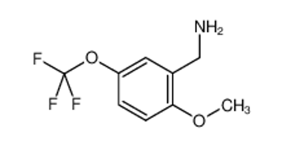 Picture of (2-Methoxy-5-(trifluoromethoxy)phenyl)methanamine
