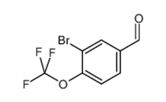 Picture of 3-BROMO-4-(TRIFLUOROMETHOXY)BENZALDEHYDE