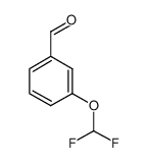 Picture of 3-(Difluoromethoxy)benzaldehyde