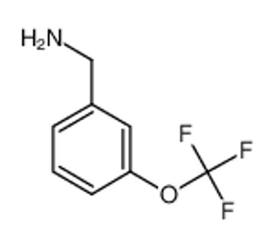 Picture of 3-(Trifluoromethoxy)benzylamine