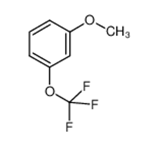 Picture of 3-(TRIFLUOROMETHOXY)ANISOLE