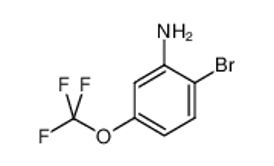 Picture of 2-Bromo-5-(trifluoromethoxy)aniline