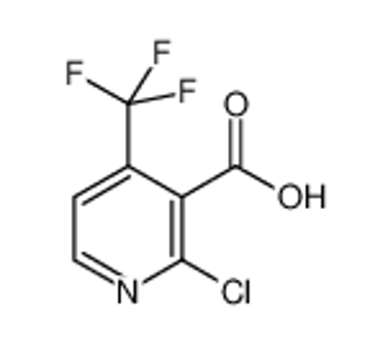 Picture of 2-Chloro-4-(trifluoromethyl)nicotinic acid