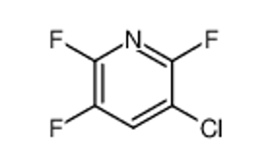 Picture of 3-CHLORO-2,5,6-TRIFLUOROPYRIDINE