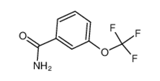 Picture of 3-(TRIFLUOROMETHOXY)BENZAMIDE