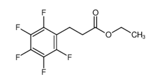 Picture of ethyl 3-(2,3,4,5,6-pentafluorophenyl)propanoate