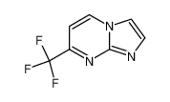 Picture of 7-(TRIFLUOROMETHYL)IMIDAZO[1,2-A]PYRIMIDINE