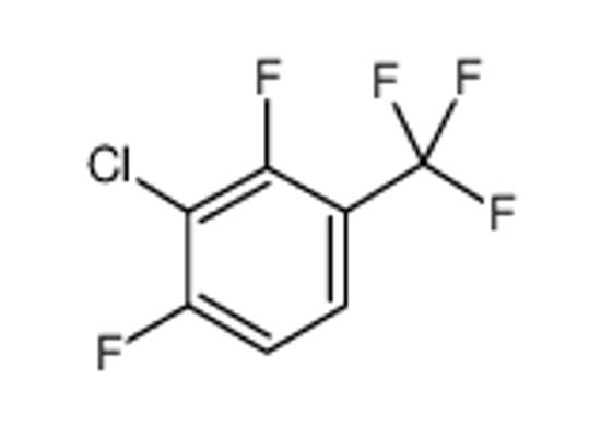 Picture of 3-Chloro-2,4-difluorobenzotrifluoride