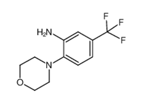 Picture of 2-(4-Morpholinyl)-5-(trifluoromethyl)aniline
