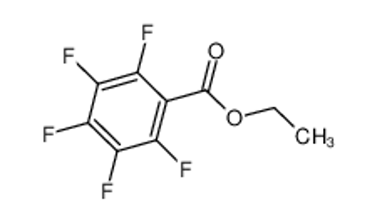 Изображение ETHYL PENTAFLUOROBENZOATE