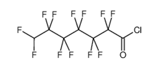 Изображение 7H-Dodecafluoroheptanoyl chloride