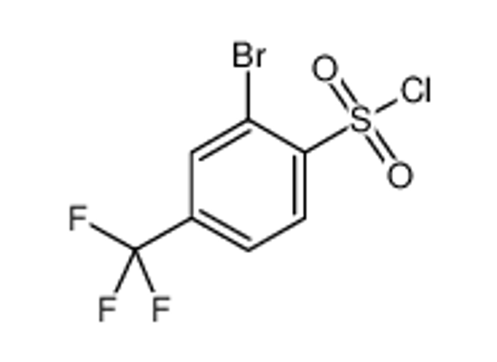 Picture of 2-BROMO-4-(TRIFLUOROMETHYL)BENZENESULFONYL CHLORIDE