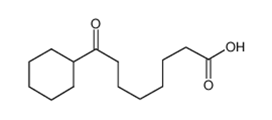Изображение 8-CYCLOHEXYL-8-OXOOCTANOIC ACID