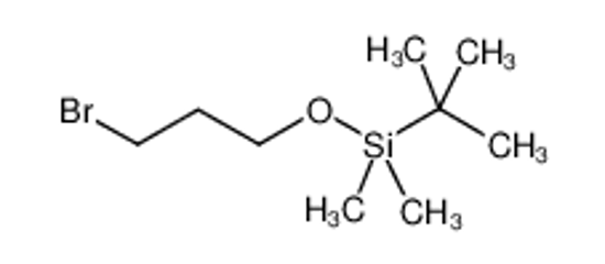 Picture of (3-Bromopropoxy)-tert-butyldimethylsilane
