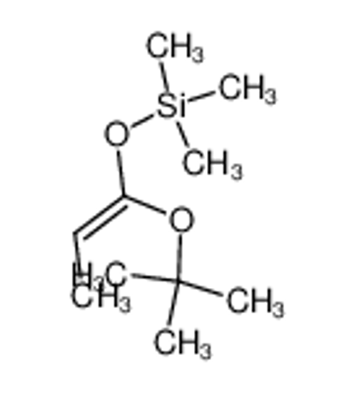 Изображение (1<i>E</i>)-1-<i>tert</i>-Butoxy-1-(trimethylsilyloxy)propene