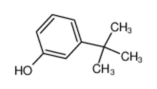 Picture of 3-tert-Butylphenol