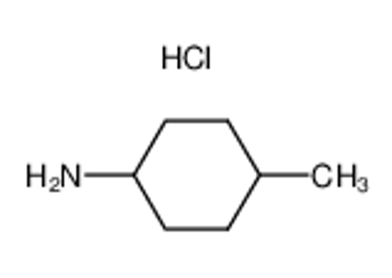 Picture of 4-Methylcyclohexylamine Hydrochloride