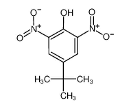 Picture of 4-tert-Butyl-2,6-dinitrophenol